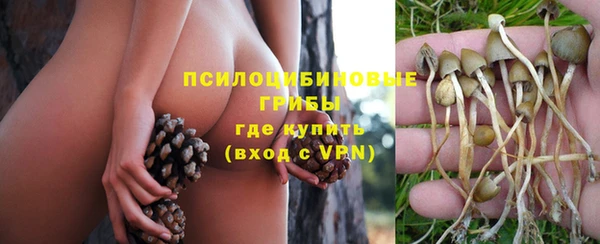 винт Зерноград